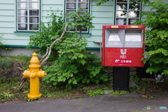 COLORFUL　HAKODATE