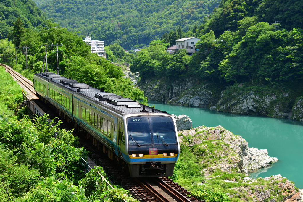 大歩危峡を通過する土讃線・特急南風