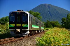 函館本線　北4線踏切