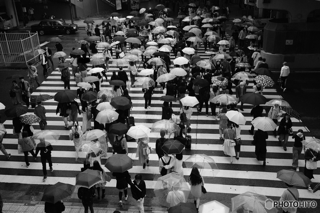 雨の横断歩道