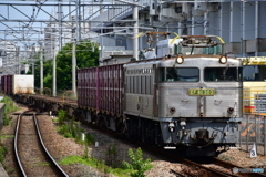 EF81 303