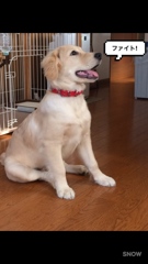 A99AAC82-917A-4D7F-8B55-2C9FCE5983B4