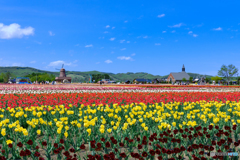 上湧別町 チューリップ公園
