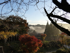 御船山楽園