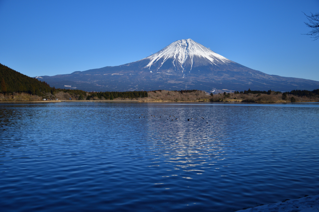 田貫湖からの・・・