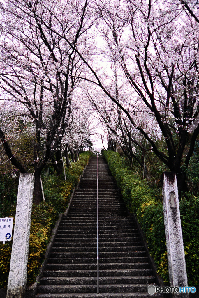 DSC_2035_00001