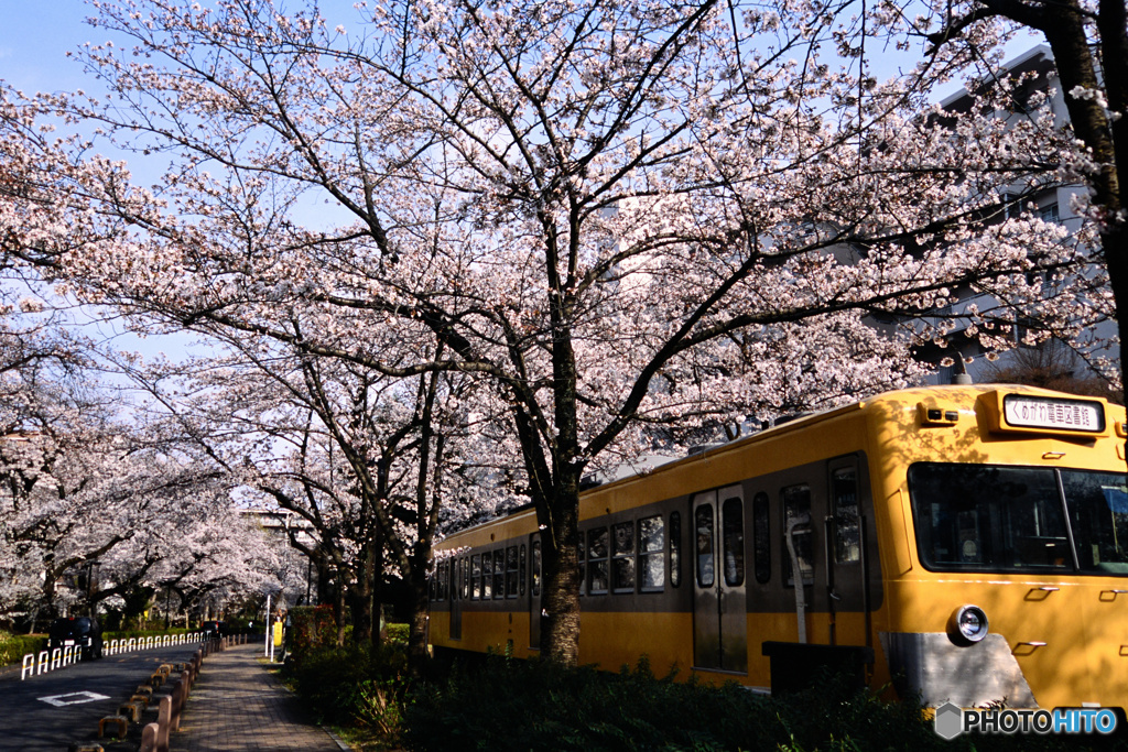 DSC_2010_00001
