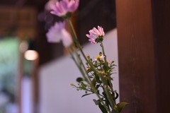 IMG_4787