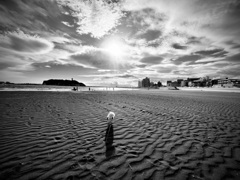 IMG_2847
