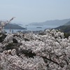 尾道