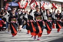 66回　高知　よさこい祭り  (38)