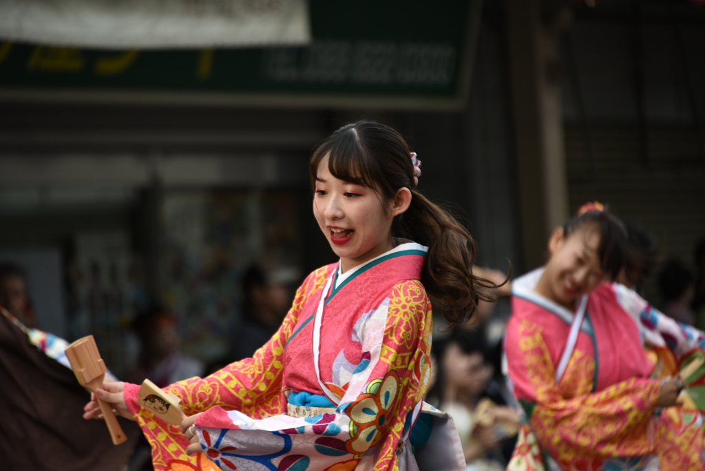 66回　高知　よさこい祭り  (67)