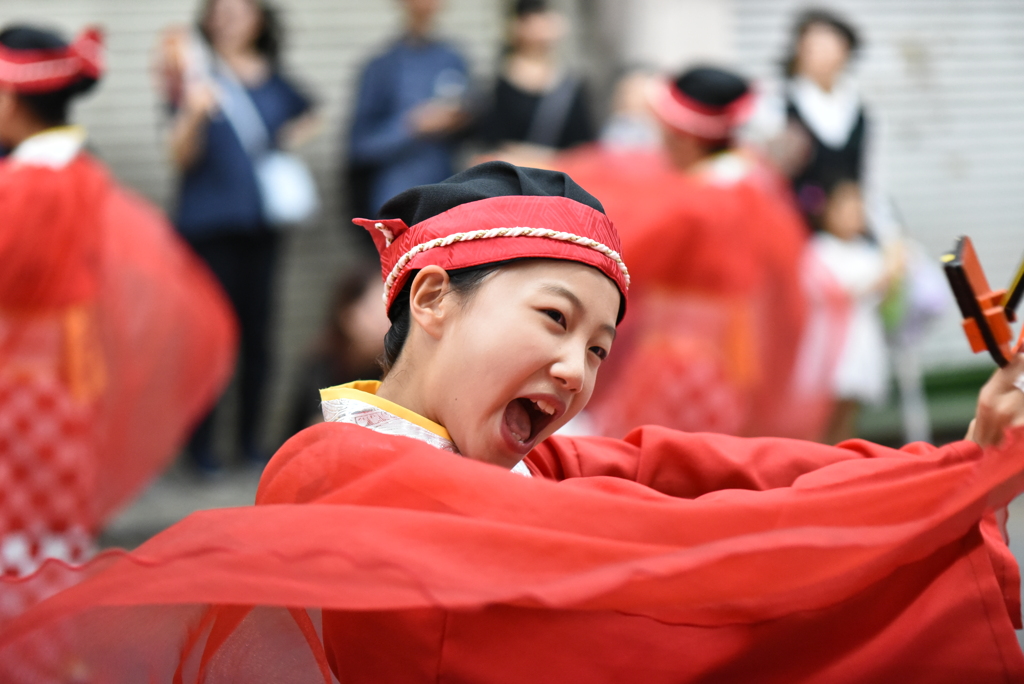 大橋通り　よさこいアンコール5日 (8)