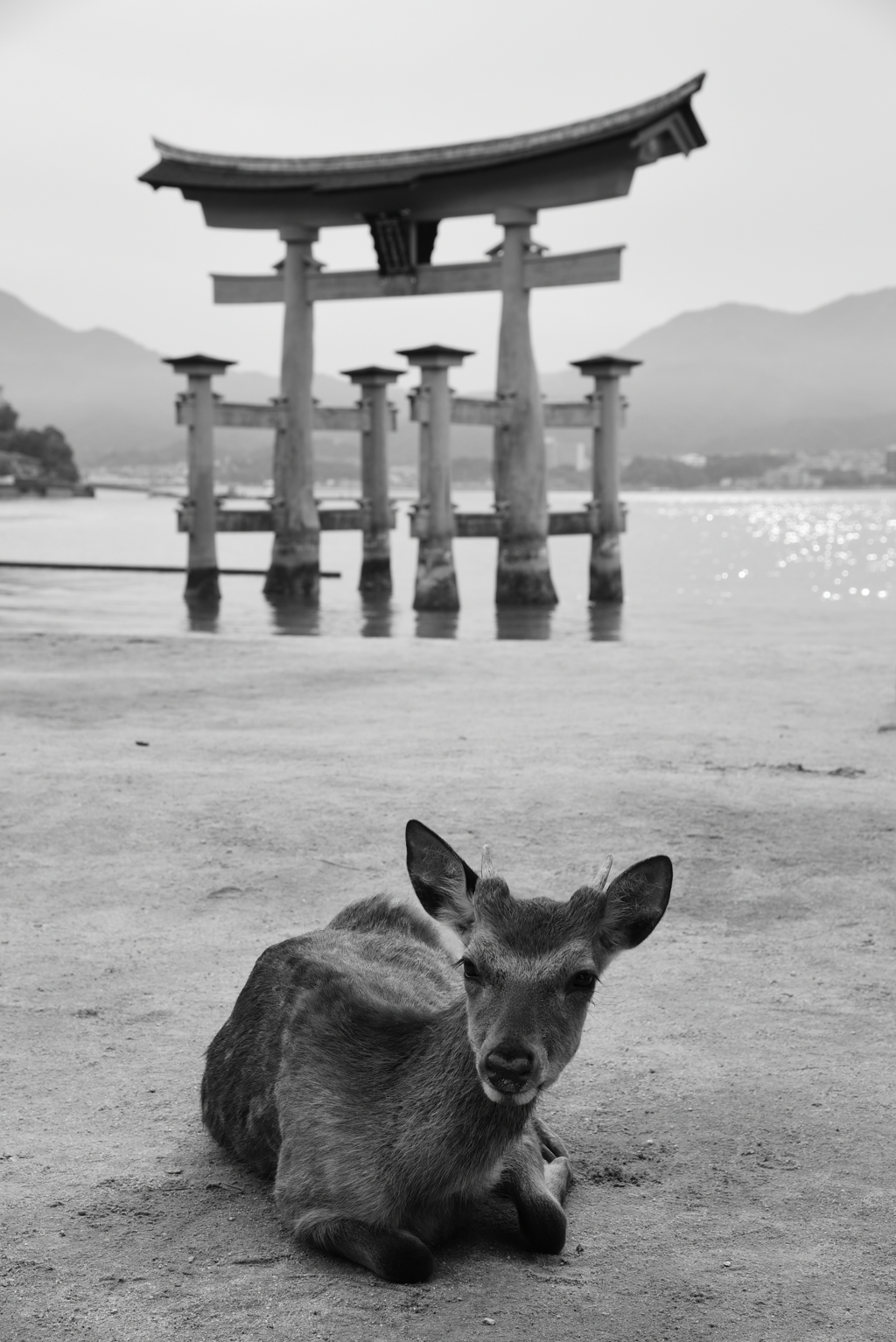 広島県　宮島厳島神社