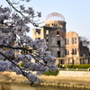 2018年の平和　桜満開　