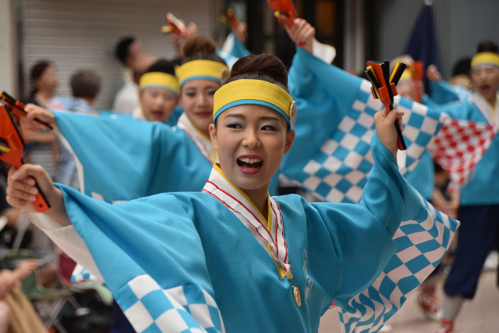高知 よさこい 10
