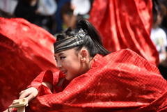 2019年高知　よさこい祭り 9