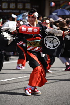 66回　高知　よさこい祭り  (39)