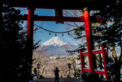 大鳥居におさまる富士山