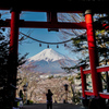 大鳥居におさまる富士山