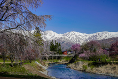 白馬の春～大出公園～
