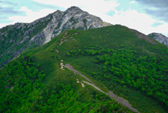 甲斐駒ケ岳への新緑の稜線①