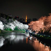 千鳥ヶ淵の夜桜