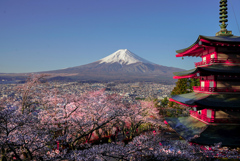 桜と富士と忠霊塔