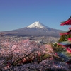 桜と富士と忠霊塔