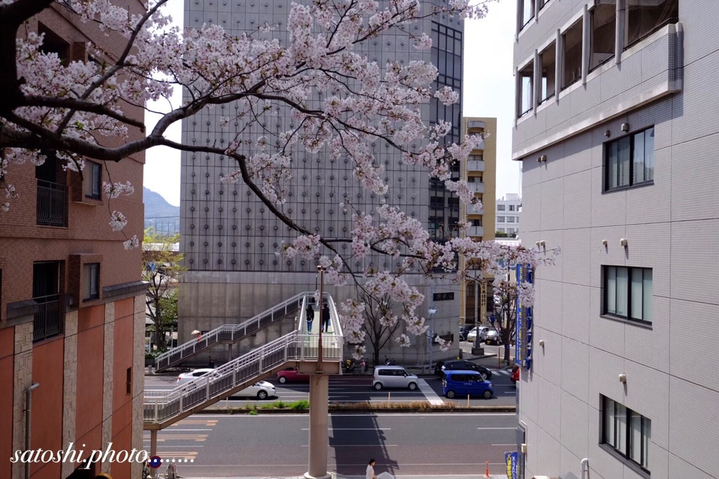 横断歩道橋は愛の力