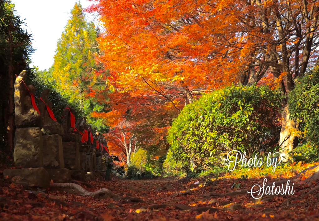 浄漸寺の紅葉（佐世保）