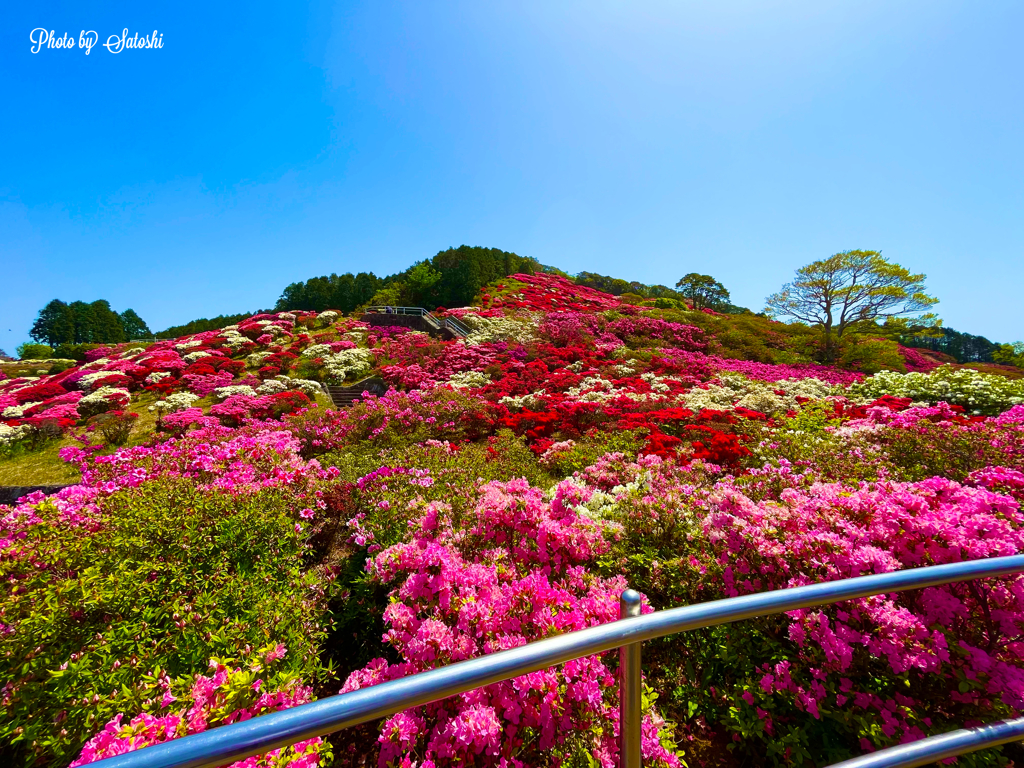 長串山公園①