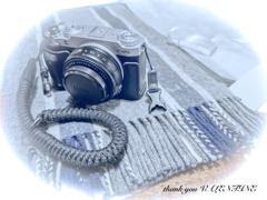 家内からのプレゼント　カメラとマフラー