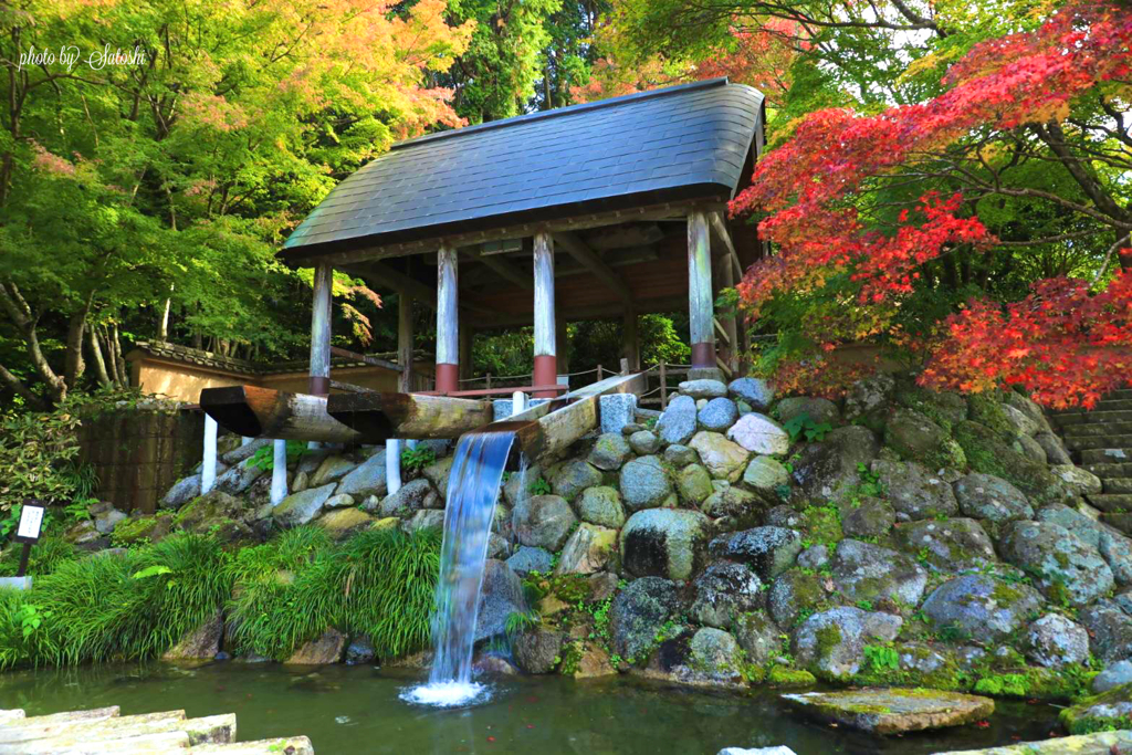 大河内山三連水車　紅葉