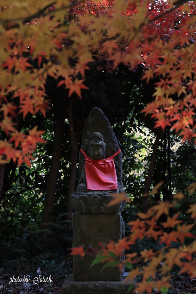 お地蔵様を取り巻く紅葉　（浄漸寺の紅葉）