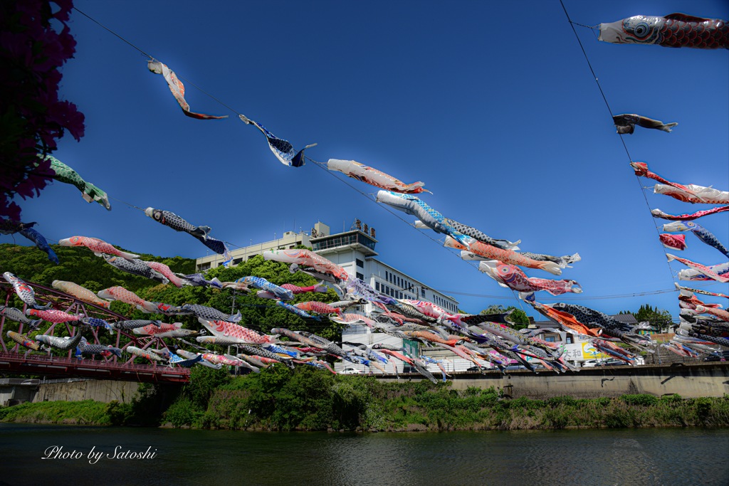 川上峡春まつり（こいのぼりの吹流し）