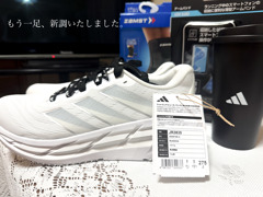 もう一足新調致しました