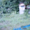 蜘蛛の巣そして水滴