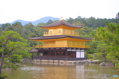 金閣寺