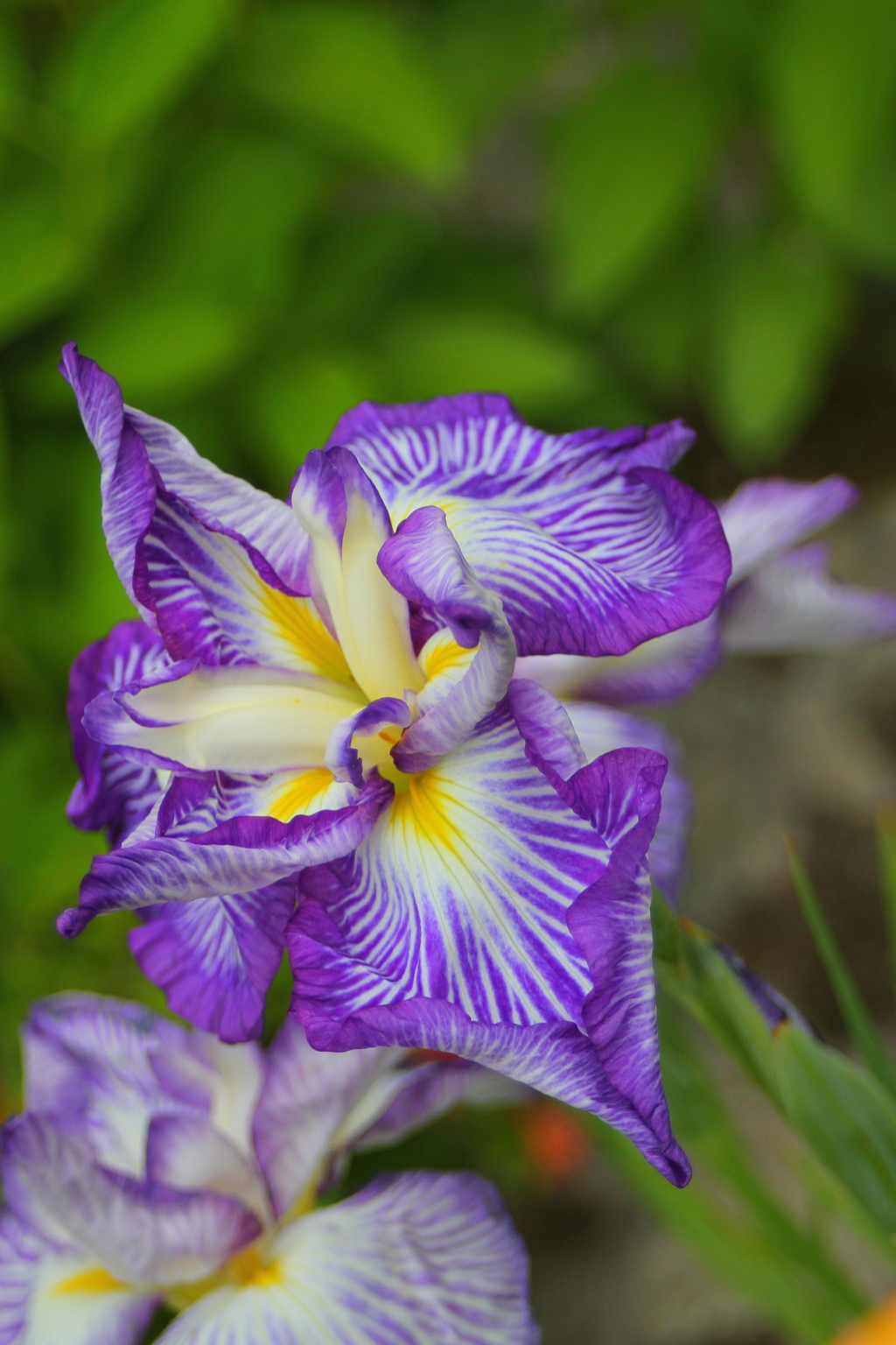 35D47D59-B897-4E03-AE99-F9CAF5610487