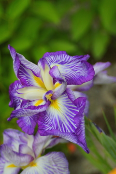 35D47D59-B897-4E03-AE99-F9CAF5610487