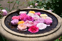 港が見える丘公園