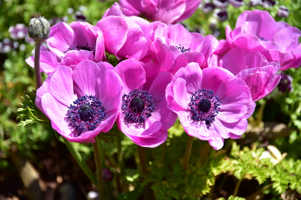 2019.里山ガーデン