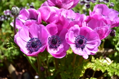 2019.里山ガーデン