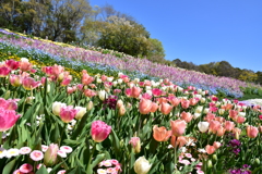 2019.里山ガーデン