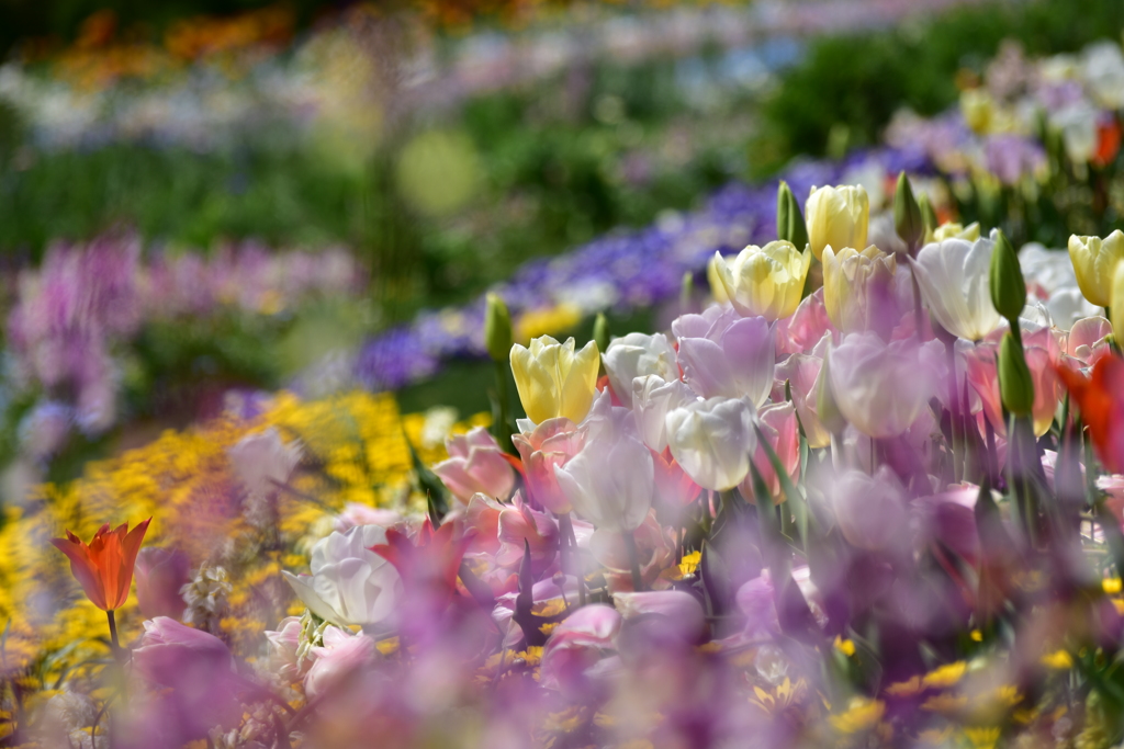 2019.里山ガーデン