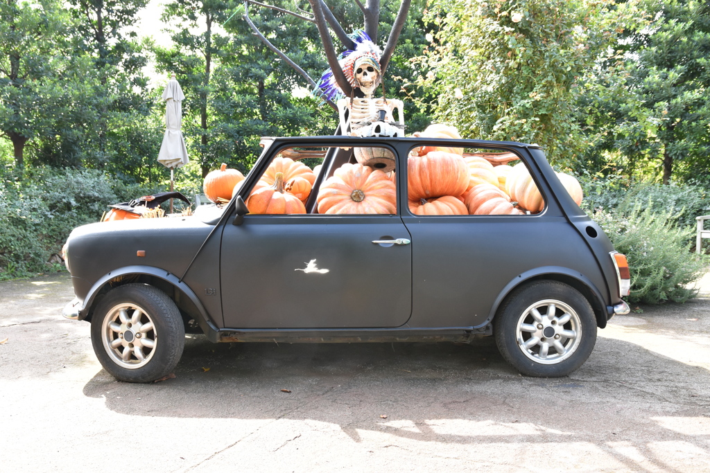 イングリッシュガーデン