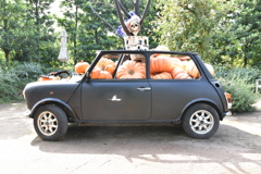 イングリッシュガーデン