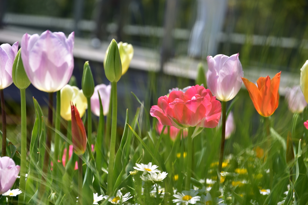 2019.里山ガーデン