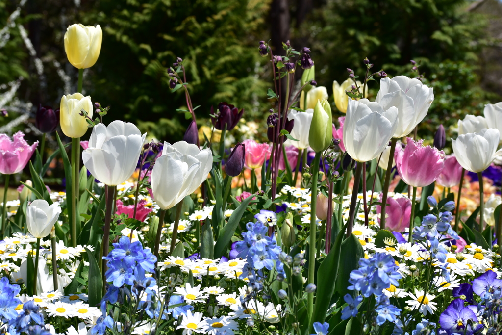 2019.里山ガーデン